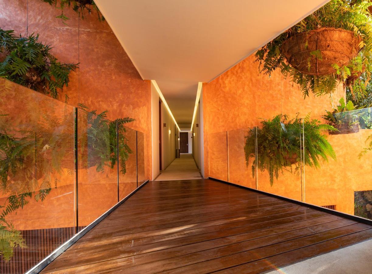 Sayulinda Hotel Саюліта Екстер'єр фото