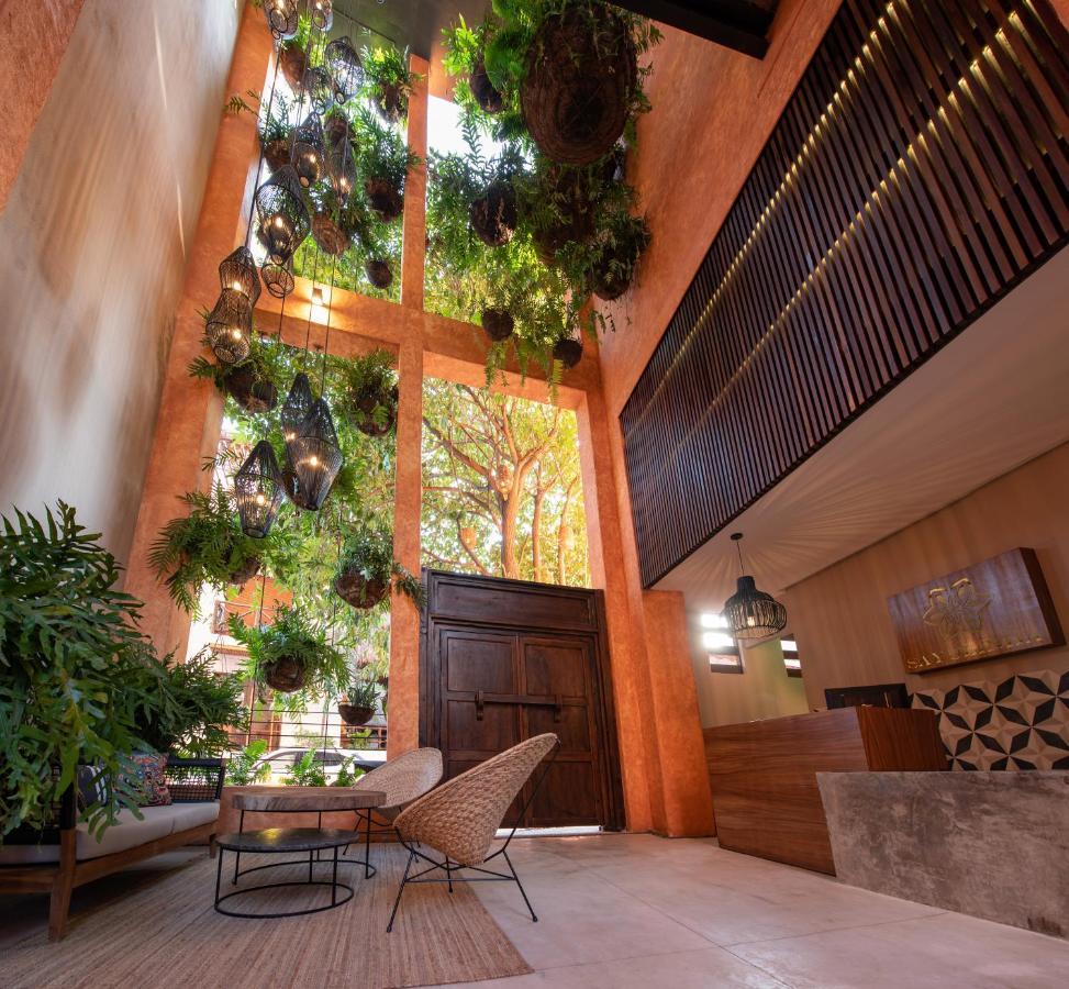 Sayulinda Hotel Саюліта Екстер'єр фото